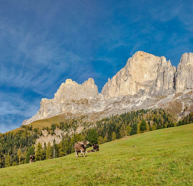 Monts Rosengarten, Welschnofen - Nova Levante, Tyrol du Sud - Haut-Adige, Italie par Rene van der Meer