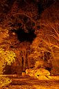 Mysteriöses Hünenbett in orangefarbenem Licht von Karla Leeftink Miniaturansicht