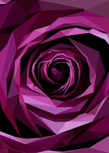 Close Up Violette Roos in Laagpolig Abstract