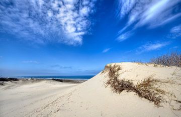 Dune Landscape von Jan Kranendonk