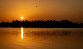 Houten Rietplas zonsondergang van Joep Henkelman