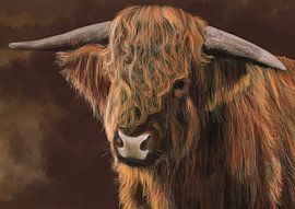 Longhair cow by Wilfried van Dokkumburg