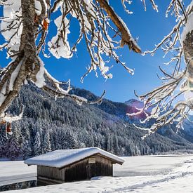 Wintersonne über dem Jägersee von Christa Kramer