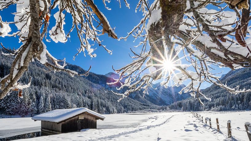 Winter sun over the Jägersee by Christa Kramer