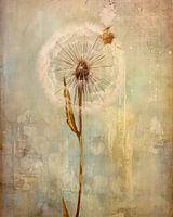 Rustieke paardenbloem abstracts
