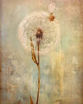 Rustieke paardenbloem abstracts