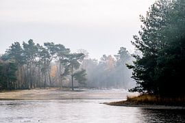 Spiegelung in der Bucht von Herperduin