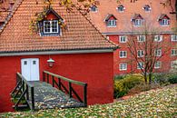 herfst in Kopenhagen van Eric van Nieuwland thumbnail