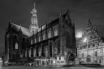 Gothic Haarlem van Scott McQuaide