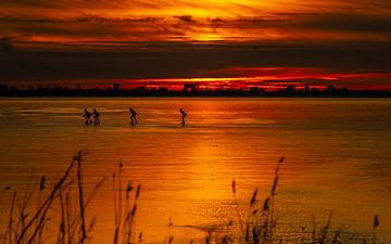 Plaisir du patinage sur Captured. NL