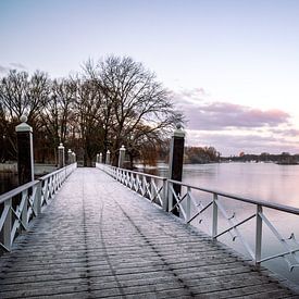 Brug Kralingse Plas in de winter van Marleen Savert