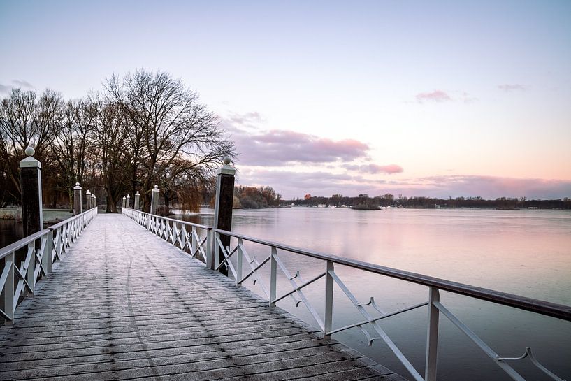 Le pont Kralingse Plas en hiver par Marleen Savert
