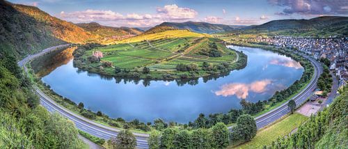 Die Mosel
