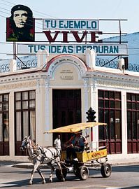 Revolution und Realität von Theo Molenaar