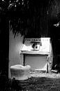 Toutou's Bar - La Madrague - Brigitte by Tom Vandenhende thumbnail