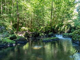 Rivière dans le parc naturel du Vogtland