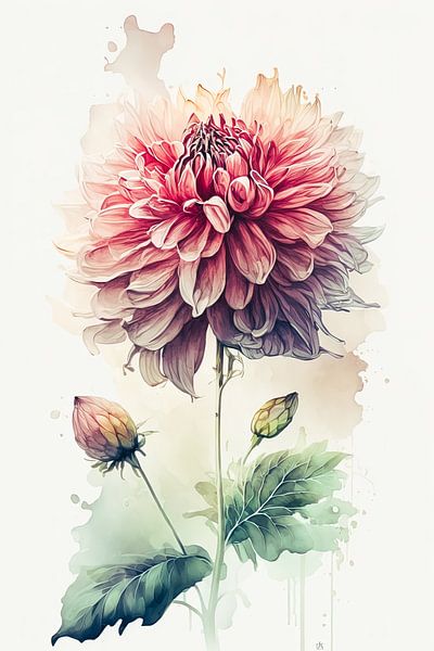 Dahlia watercolour by Vlindertuin-Art