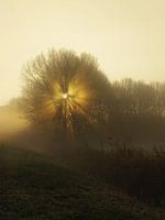 winter sunrise