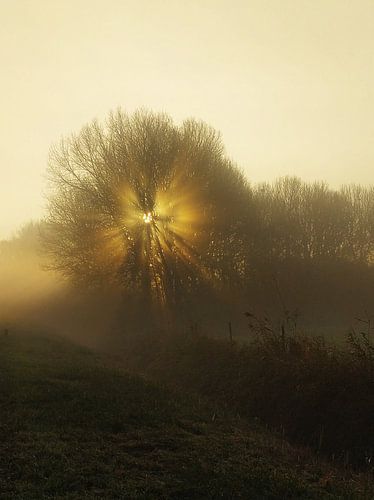 winterse zonsopkomst