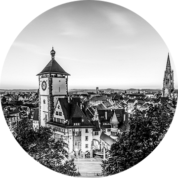 Freiburg im Breisgau met de kathedraal - zwart-wit van Werner Dieterich