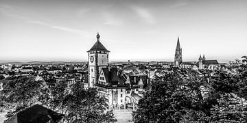 Freiburg im Breisgau met de kathedraal - zwart-wit