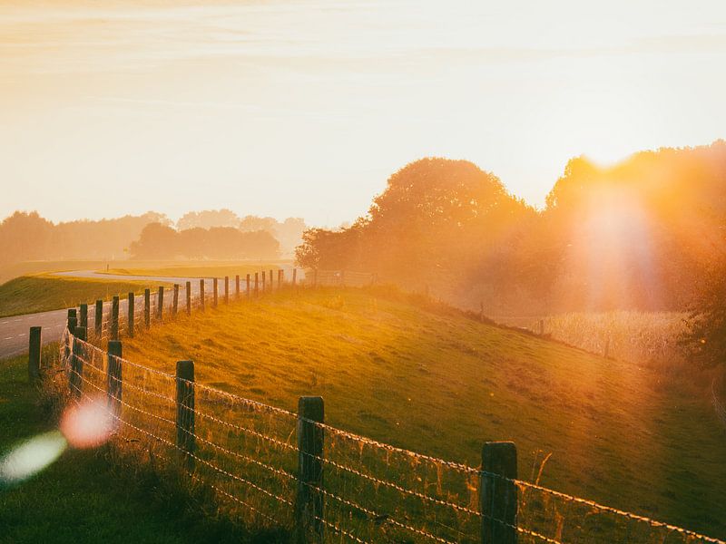 Abendsonne auf dem Waaldijk bei Varik von Elmar Keijzer