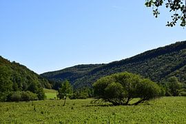 Mountain scenery of nature in the French Jura near Doucier