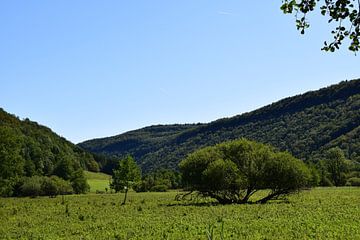 Berglandschap van de natuur in de Franse Jura bij Doucier van Robin Verhoef