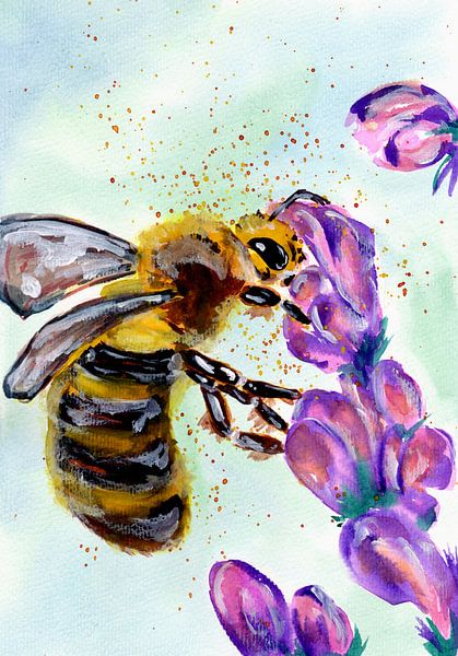 Abeille et fleurs violettes par Sebastian Grafmann