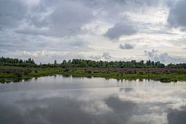 Landscape photo Numansgors - Numansdorp - South Holland
