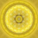 Solar Plexus Chakra with Flower of Life by Christine Bässler thumbnail