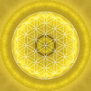 Chakra du plexus solaire avec fleur de vie
