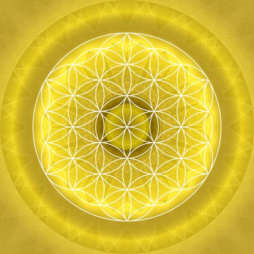 Solar Plexus Chakra with Flower of Life