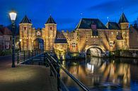Koppelpoort van Bart Hendrix thumbnail
