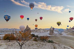 De nombreux ballons dans le ciel