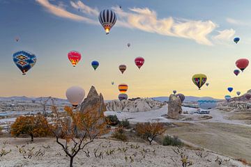 Lots of balloons in the sky