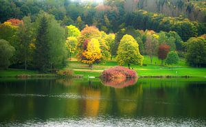 Couleurs d'automne au bord d'un lac dans la région de l'Eifel