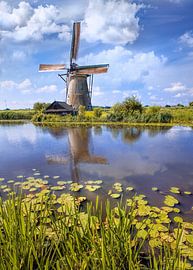 Voie navigable avec des lis et moulin à vent sur une journée d'été, Kinderdijk 2 sur Tony Vingerhoets
