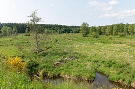 Flusslandschaft Emmels von Richard Wareham