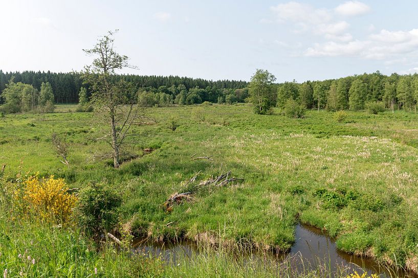 Emmels River landschap van Richard Wareham