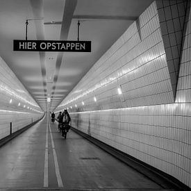 Maas-fietstunnel van Chris de Vogel