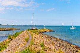 Harbor entry by Brian Morgan