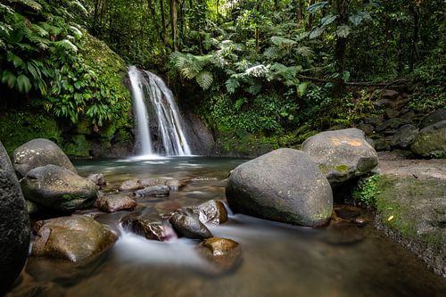 Ecrevisses watervallen Cascade aux écrevisses op Guadeloupe