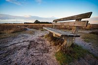 Bench on the heath
