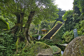 Treppe im moosbewachsenen Dschungel, Tempel Pura Mengening, Bali von Fotos by Jan Wehnert