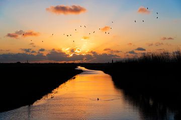 Sonnenuntergang niederländische Landschaft Eempolder von Mark de Weger