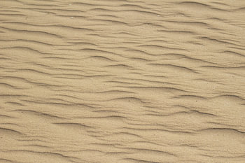 Ripples in the Sand