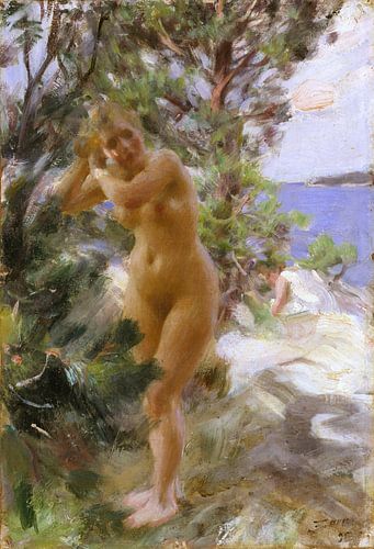 Na het bad, Anders Zorn