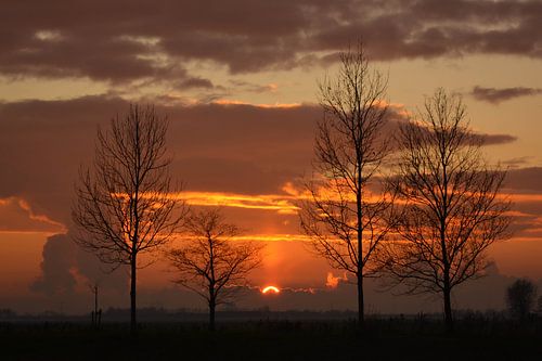 beautiful sunset