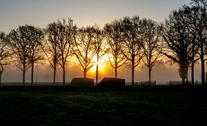 Le chemin du bunker à Landgoed Rhijnauwen au lever du soleil sur Arthur Puls Photography